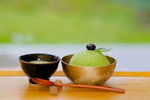 松果盆栽は種から育てる！初心者でも成功する本物の作り方