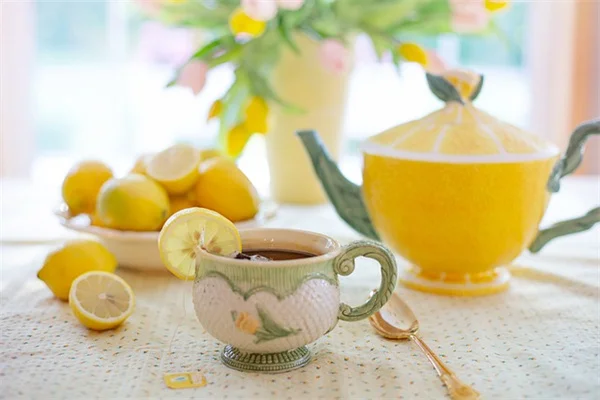 ハチドリセージの育て方｜日陰の庭で失敗しない5つのポイント